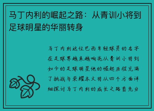 马丁内利的崛起之路：从青训小将到足球明星的华丽转身