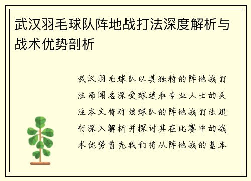 武汉羽毛球队阵地战打法深度解析与战术优势剖析