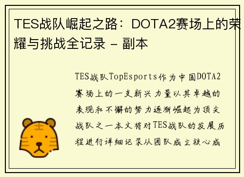 TES战队崛起之路：DOTA2赛场上的荣耀与挑战全记录 - 副本